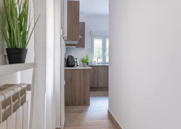 Con Terraza Centro サンタンデール